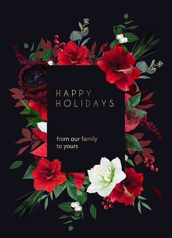 Christmas joy black floral vector frame. Red amaryllis, poinsettia,green fir branch, holly, mistletoe, burgundy ranunculus, berry, winter greenery. Merry Christmas template card. Isolated and editable