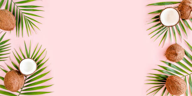 istock Pattern, frame borders with coconuts and tropical palm leaves on pink background. Tropical abstract background. Flat lay, top view 1274200167