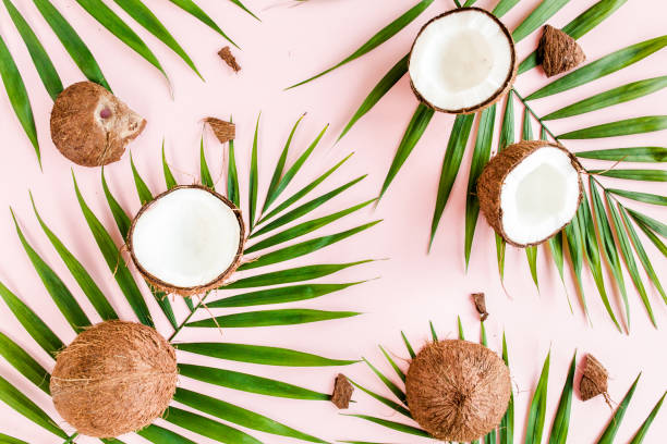 istock Pattern, texture with coconuts and tropical palm leaves on pink background. Tropical abstract background. Flat lay, top view 1274206701