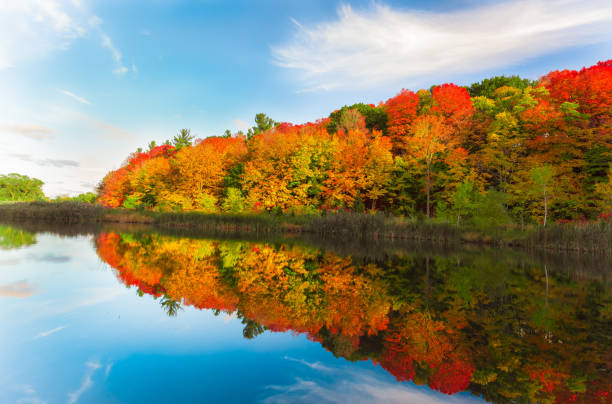 pretty natural, colorful autumn season. forest in the lake, landscape background,sunset time stock photo