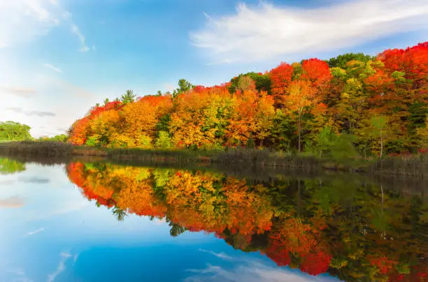 Photo of pretty natural, colorful autumn season. forest in the lake, landscape background,sunset time