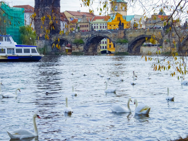 istock Autumn in Prague, Czech Republic 1274277132