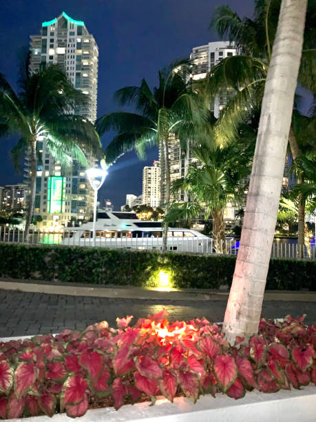 istock Yacht in Miami on the bay 1274292424