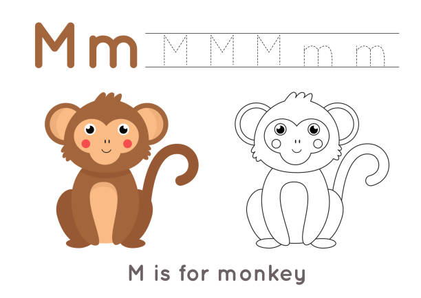 ilustrações, clipart, desenhos animados e ícones de página de colorir e traçar com letra m e macaco de desenho animado bonito. - traçar