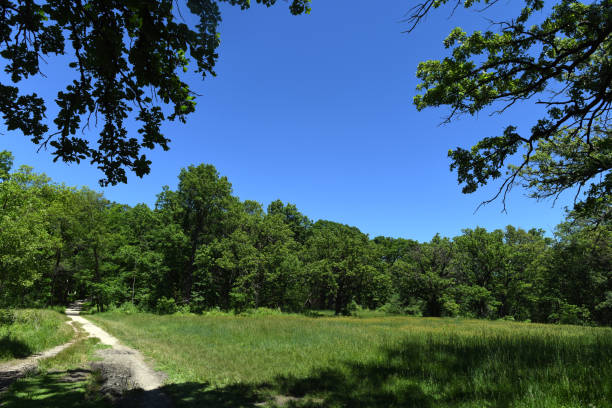 istock Walking trail in a state park, Illinois 1274315741