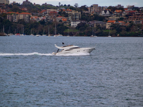 istock Boat on sydney harbour NSW australia 1274318343