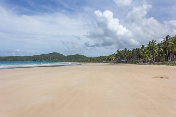 le Nid de plage - Photo