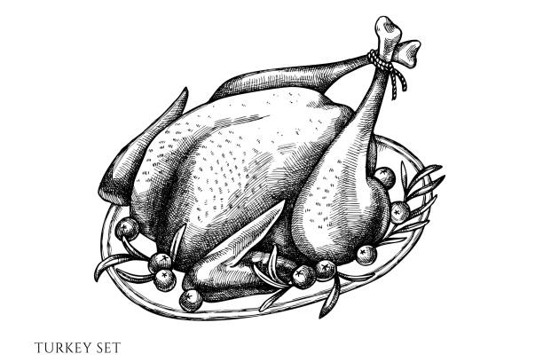 손으로 그린 검은 색과 흰색 칠면조의 벡터 세트 - cooked chicken sketching roasted stock illustrations
