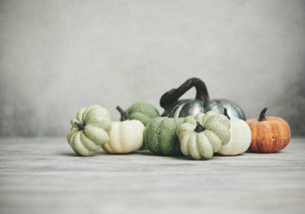 Thanksgiving Fall Background with Assortment of Pumpkins