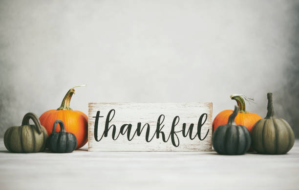 fondo de otoño de acción de gracias con surtido de calabazas y signo de agradecimiento - día de acción de gracias fotos fotografías e imágenes de stock