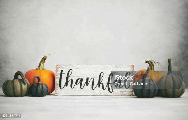 Dziękczynienie Upadek Tło Z Asortymentu Dyń I Wdzięczny Znak - zdjęcia stockowe i więcej obrazów Święto Dziękczynienia