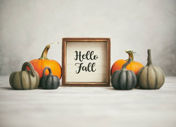 istock Thanksgiving Fall Still Life with Pumpkins and Happy Fall Sign in Bright Setting 1274388312
