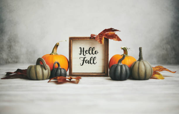 istock Thanksgiving Fall Still Life with Pumpkins Leaves and Happy Fall Sign in Bright Setting 1274391233