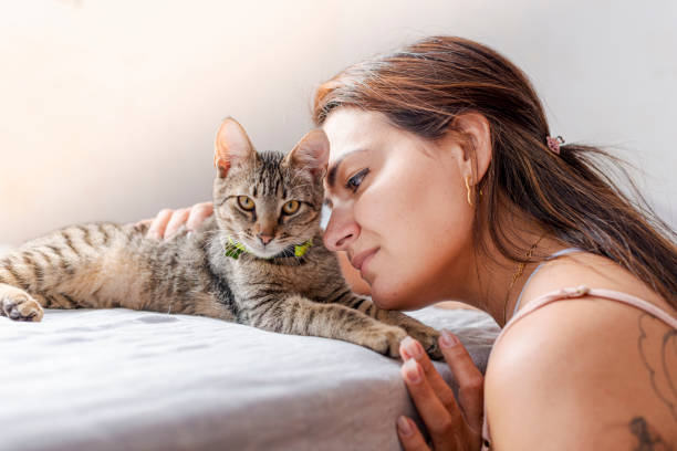 istock Young girl with her pet 1274399366