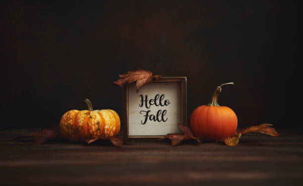Thanksgiving Fall Still Life with Pumpkins Leaves and Happy Fall Sign in Rustic Setting
