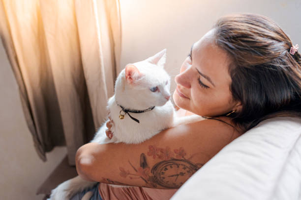istock Girl looking at her pet 1274403771