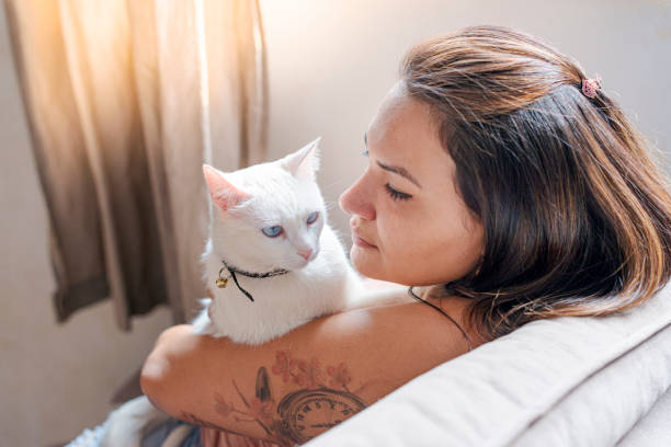 istock Girl looking at her pet 1274404181