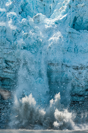 ice calving, also known as glacier calving or iceberg calving, is the breaking of ice chunks from the edge of a glacier. Margerie Glacier, Glacier Bay National Park, Alaska. Tidewater glacier. Terminus.