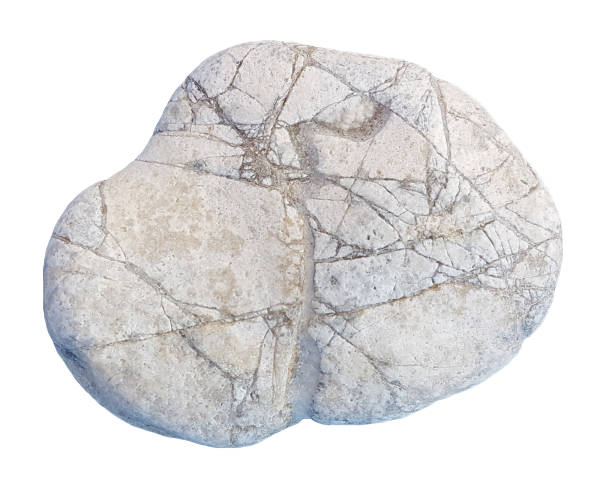 istock sea pebbles  rocks isolated for background 1274461508