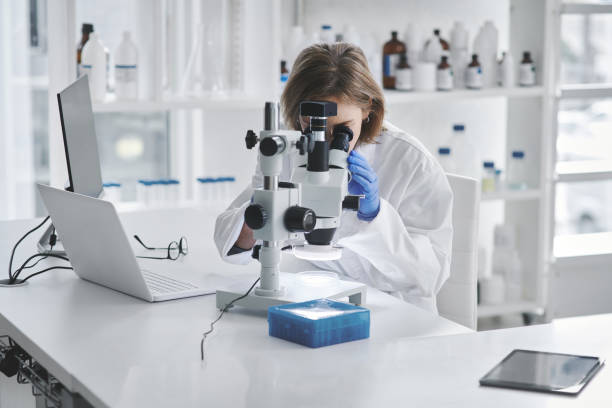istock Lab technicians need to maintain meticulous attention to detail 1274475393