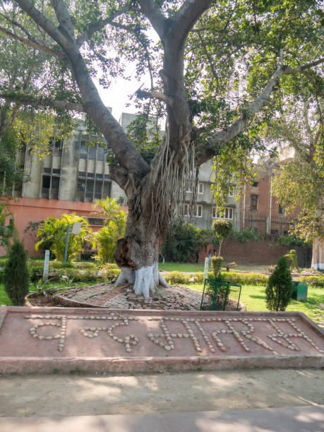istock name plaque at jallianwala bagh massacre site in amritsar 1274504205