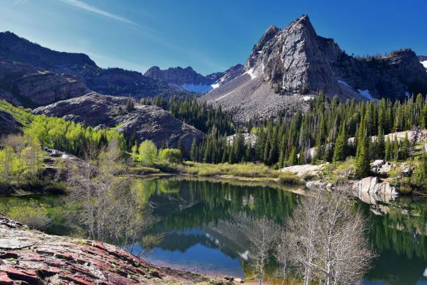 Lake Blanche Hiking Trail panorama views. Wasatch Front Rocky Mountains, Twin Peaks Wilderness,  Wasatch National Forest in Big Cottonwood Canyon in Salt Lake County Utah. United States.