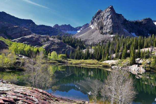 Lake Blanche Hiking Trail panorama views. Wasatch Front Rocky Mountains, Twin Peaks Wilderness,  Wasatch National Forest in Big Cottonwood Canyon in Salt Lake County Utah. United States. stock photo