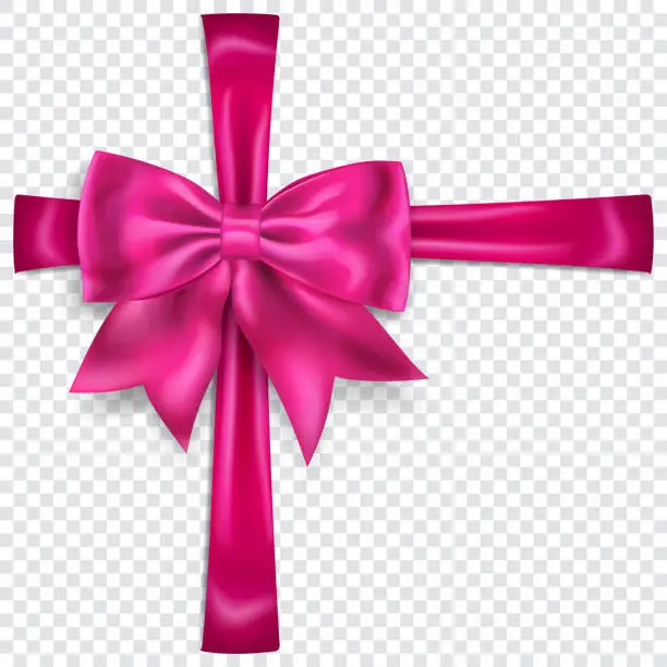 Vector illustration of Beautiful bow with crosswise ribbons