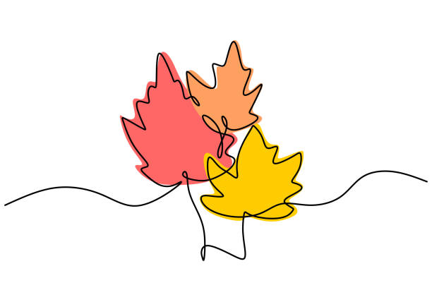 ilustrações de stock, clip art, desenhos animados e ícones de maple leaf line art. one continuous line drawing abstract tropic spring isolated vector object on white background. botany natural eco concept. autumn leaves hand drawn design minimalism style - autumn