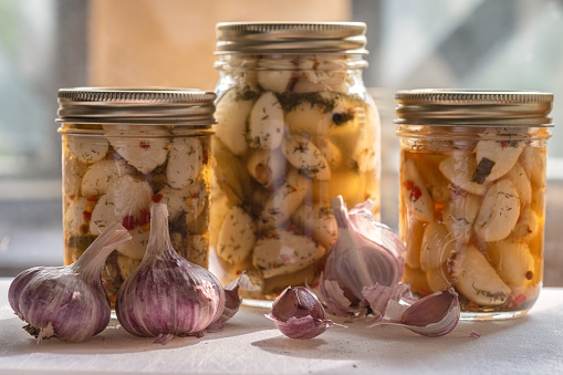 Locally grown garlic - fresh and pickled with dill, mustard seeds, allspice berries, bay leaf, red chili peppers and cloves in mason jars.  Okanagan, British Columbia, Canada