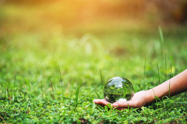 istock A hand holding crystal glass ball in the grass field 1274643538