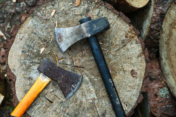 istock old axe is on background of stump 1274667291
