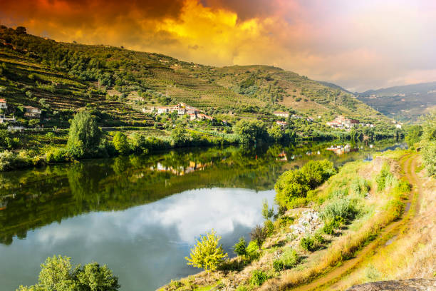 Travel in River Douro region in Portugal among vineyards and olive groves. Viticulture in the Portuguese villages at sunrise