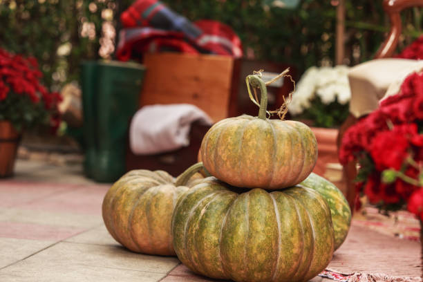 istock Pile your pumpkins in the backyard 1274699793