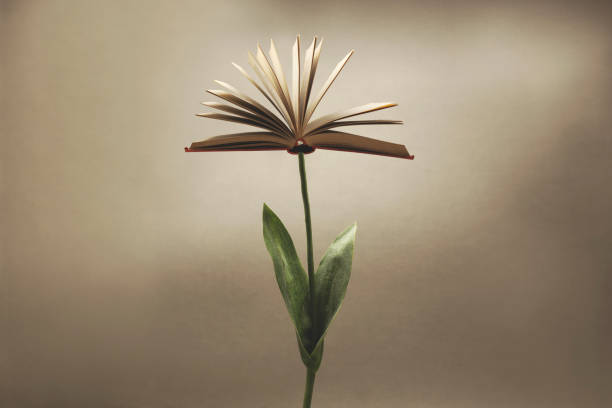 planta surrealista con un libro abierto que sustituye a la flor; concepto de fantasía - lifestyles indoors nature business fotografías e imágenes de stock