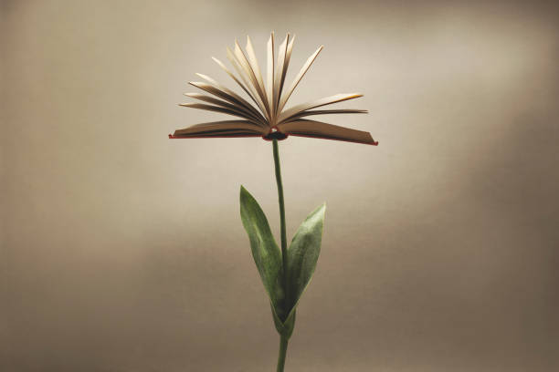 花を置き換えるオープンブックとシュールな植物。ファンタジーコンセプト - life teaching lifestyles ideas ストックフォトと画像