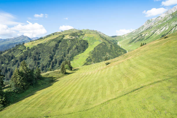 istock Idyllic summer landscape in the Alps 1274737048