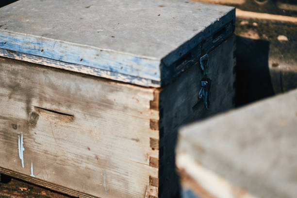 istock Old Wooden Bee Hives With Iron Locks Close-Up 1274748417