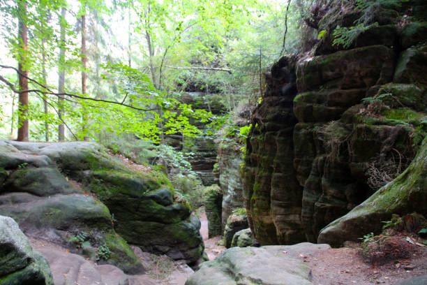 istock The Sweden Holes, Saxon Switzerland, Germany 1274767962