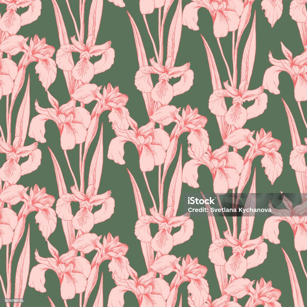 Iris Pattern Stock Illustration - Download Image Now - Art, Backgrounds ...
