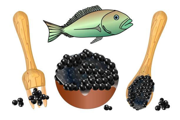 illustrazioni stock, clip art, cartoni animati e icone di tendenza di caviale impostato isolato su sfondo bianco. ciotola, forchetta, cucchiaio con caviale nero e pesce. - meal whale mammal animal