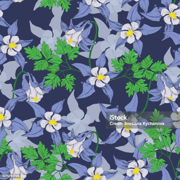 Columbina Pattern Columbine Colored Pattern Stock Illustration - Download Image Now ...