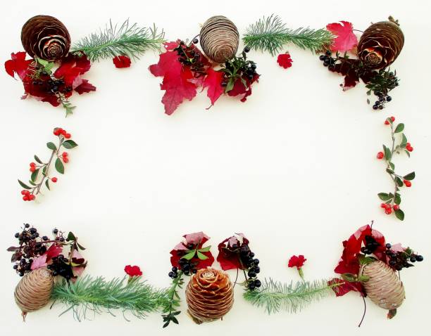 istock Christmas card in plants 1274783392