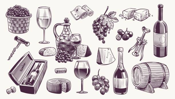 Hand drawn wine set. Engraving images of bottle and wineglasses, bunch of grapes and sliced cheese, corkscrew and wooden barrel, vector sketch style collection for restaurant or cafe menu Hand drawn wine set. Engraving images of bottle and wineglasses, bunch of grapes with leaves and sliced cheese, corkscrew and wooden barrel, vector sketch style collection for restaurant or cafe menu wine and oenology graphic stock illustrations