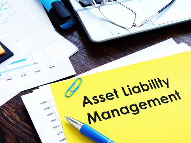 istock Asset liability management ALM report and papers. 1274803980