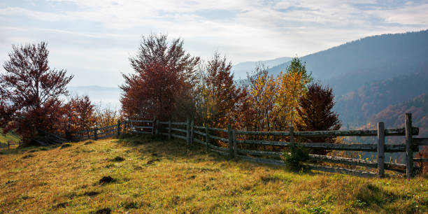 istock mountainous carpatian rural landscape in autumn 1274808861