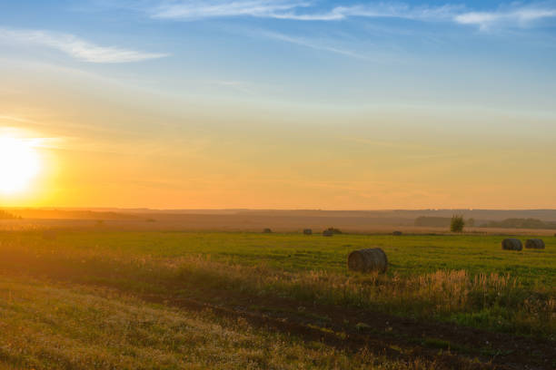 istock Colorful summer sunset over a mown field 1274815618