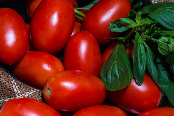 istock delicious red tomatoes with herbs. Group of tomatoes. 1274819028