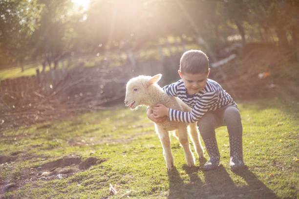 istock Boy hugging his cute little lamb 1274822100