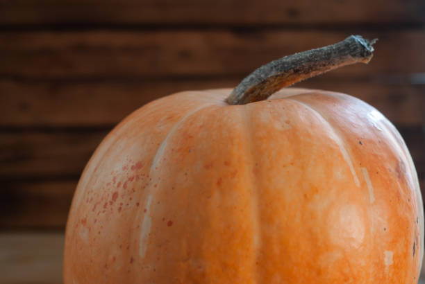 istock pumpkin texture, vegetable symbol of Halloween, 1274829193
